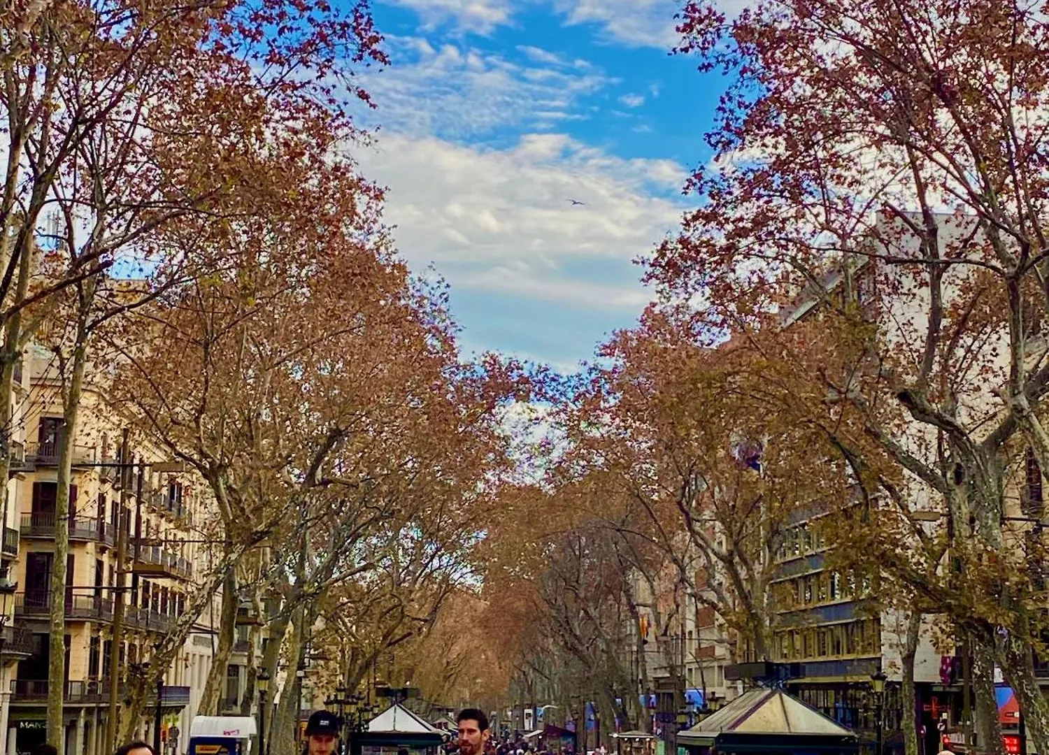 فندق كونتيننتال برشلونة إسبانيا